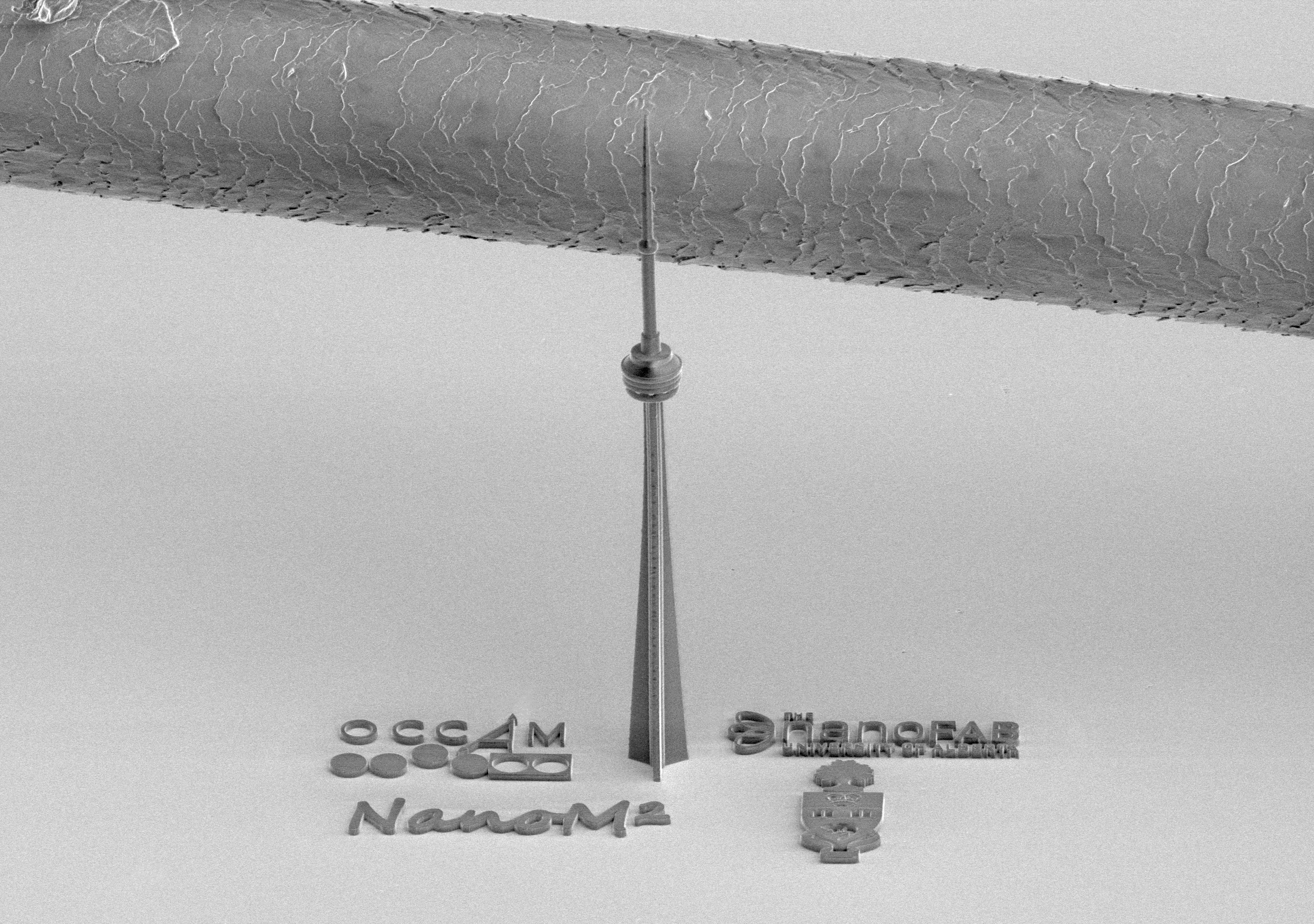 A Nano CN Tower in the Foreground Which Stands Only Twice as Tall as the Human Hair Behind it.